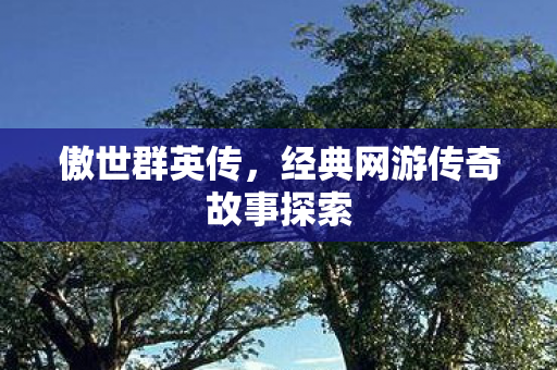 傲世群英传,经典网游传奇故事探索 傲世群英传,经典网游传奇故事探索