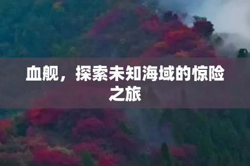 血舰,探索未知海域的惊险之旅 血舰,探索未知海域的惊险之旅