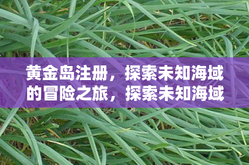 探索未知海域的冒险之旅图片