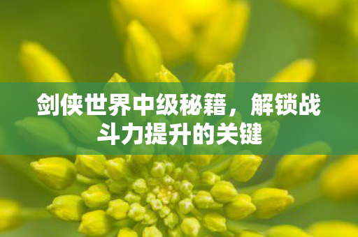 剑侠世界中级秘籍，解锁战斗力提升的关键