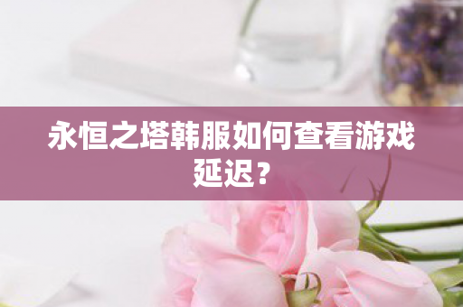 永恒之塔韩服如何查看游戏延迟图片