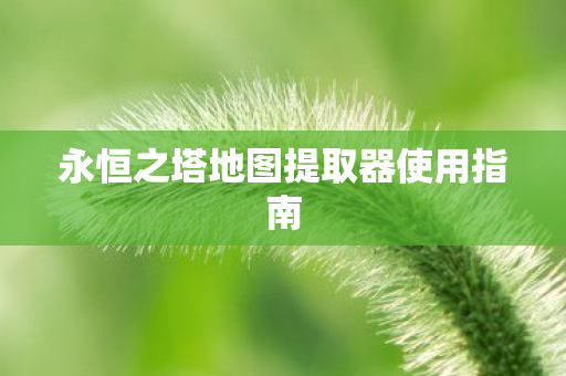 永恒之塔地图提取器使用指南图片
