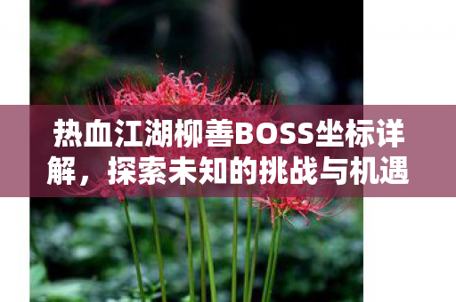 热血江湖柳善BOSS坐标详解图片