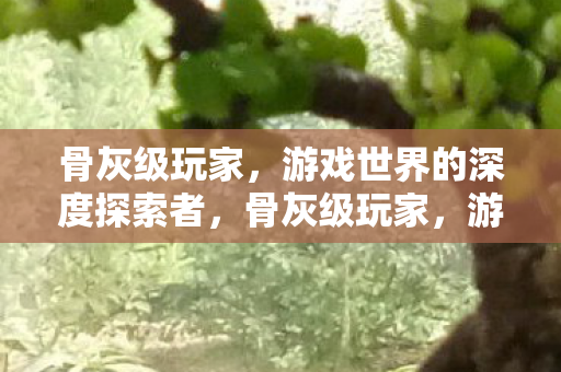 游戏世界的深度探索者图片