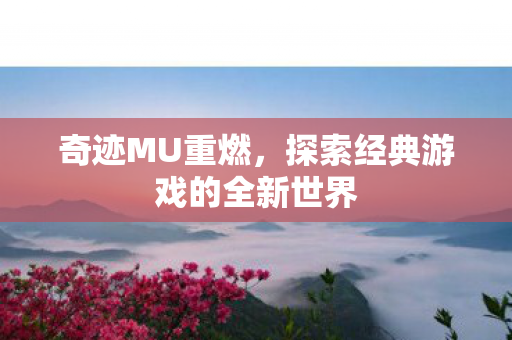 探索经典游戏的全新世界图片