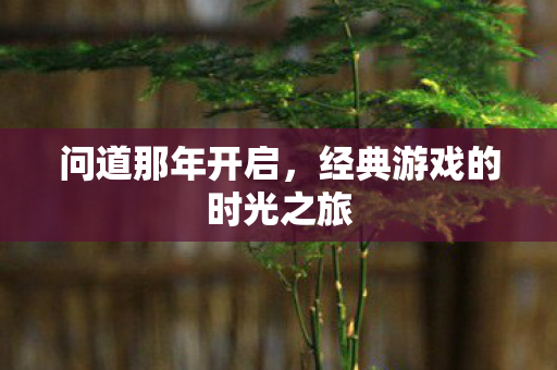 经典游戏的时光之旅图片
