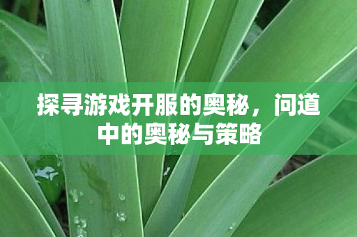 探寻游戏开服的奥秘，问道中的奥秘与策略