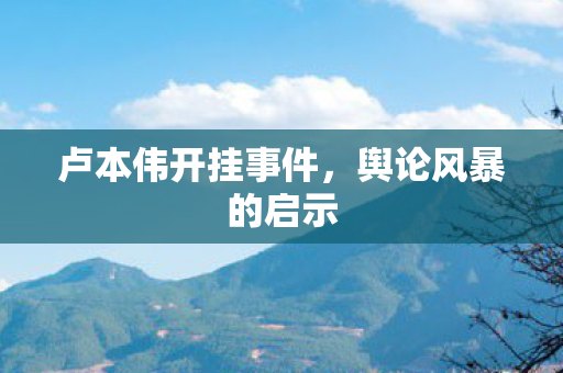 卢本伟开挂事件图片
