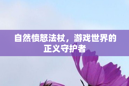 游戏世界的正义守护者图片