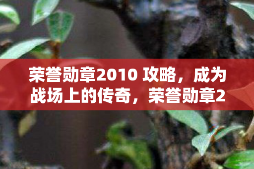 荣誉勋章2010 攻略图片