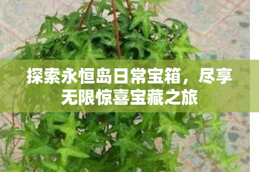 尽享无限惊喜宝藏之旅图片
