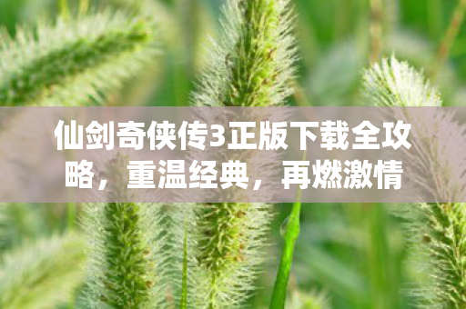 仙剑奇侠传3正版下载全攻略图片