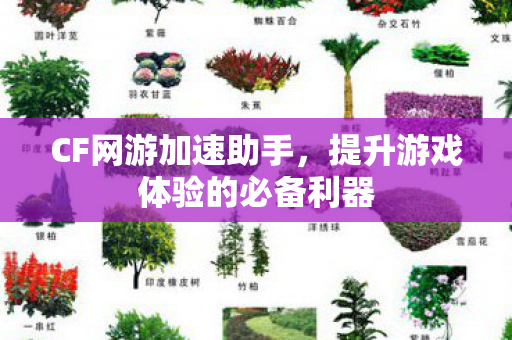 CF网游加速助手,提升游戏体验的必备利器 CF网游加速助手,提升游戏体验的必备利器