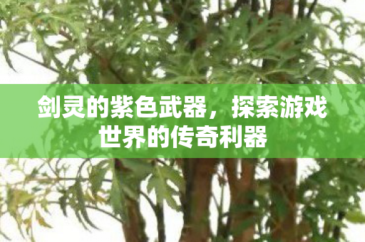 剑灵的紫色武器,探索游戏世界的传奇利器 剑灵的紫色武器,探索游戏世界的传奇利器