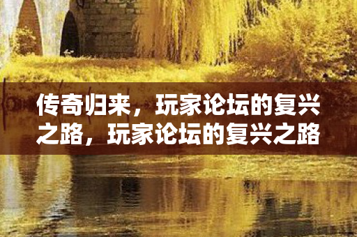 玩家论坛的复兴之路图片