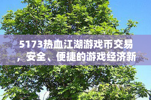 5173热血江湖游戏币交易图片