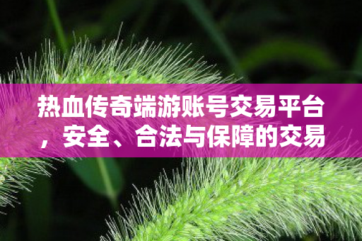 热血传奇端游账号交易平台图片