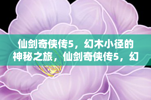 幻木小径的神秘冒险之旅图片
