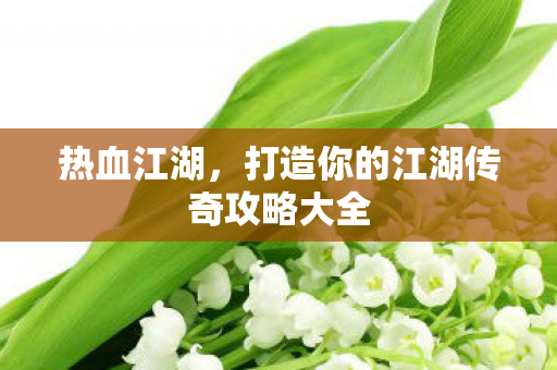 打造你的江湖传奇攻略大全图片