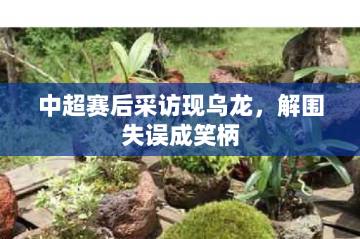 中超赛后采访现乌龙图片