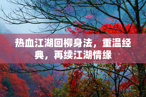 热血江湖回柳身法图片