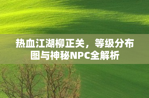 等级分布图与神秘NPC全解析图片