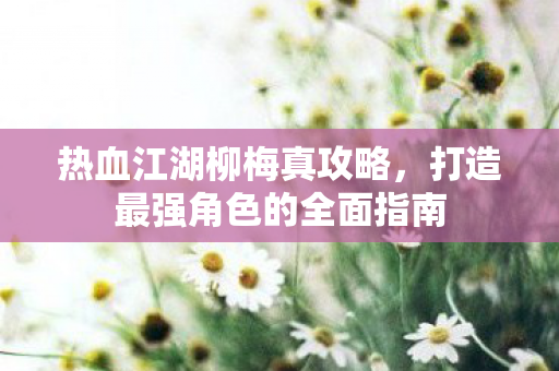 打造最强角色的全面指南图片