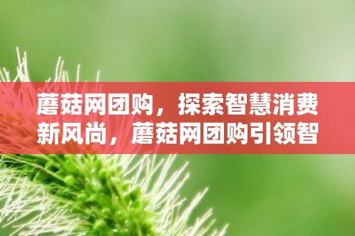 蘑菇网团购,探索智慧消费新风尚,蘑菇网团购引领智慧消费新风尚 蘑菇网团购,探索智慧消费新风尚,蘑菇网团购引领智慧消费新风尚