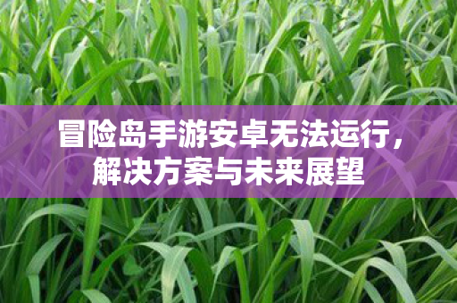 冒险岛手游安卓无法运行图片