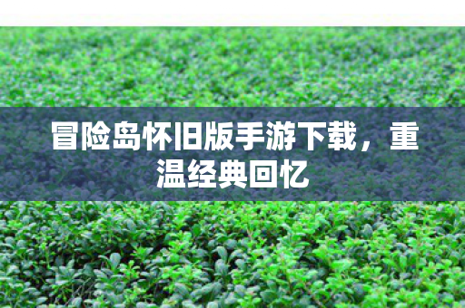 冒险岛怀旧版手游下载图片