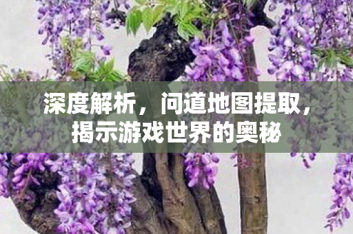 深度解析，问道地图提取，揭示游戏世界的奥秘