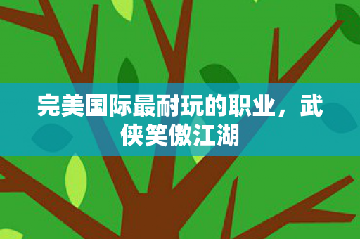 完美国际最耐玩的职业图片