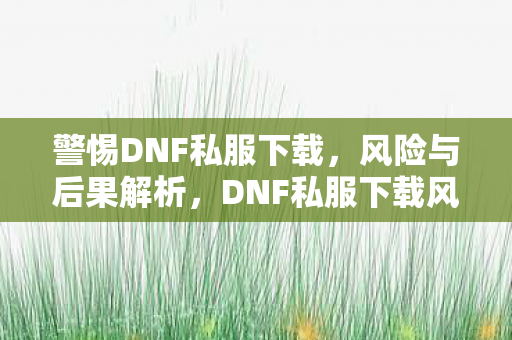 警惕DNF私服下载,风险与后果解析,DNF私服下载风险解析,警惕潜在危害与后果 警惕DNF私服下载,风险与后果解析,DNF私服下载风险解析,警惕潜在危害与后果