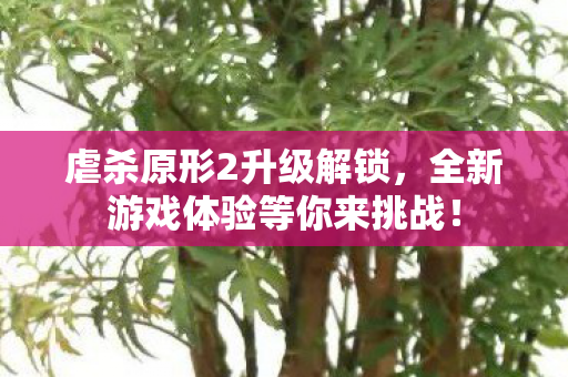 全新游戏体验等你来挑战图片