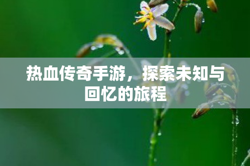 探索未知与回忆的旅程图片