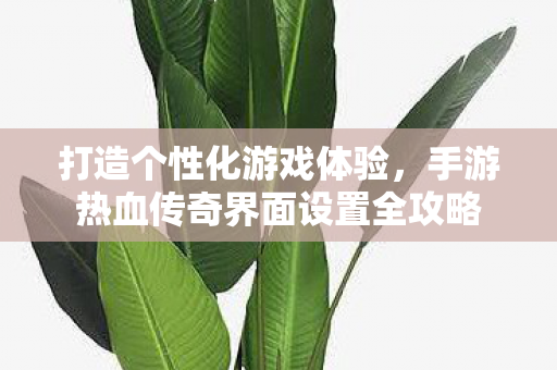 手游热血传奇界面设置全攻略图片