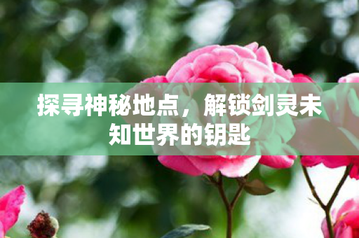 解锁剑灵未知世界的钥匙图片