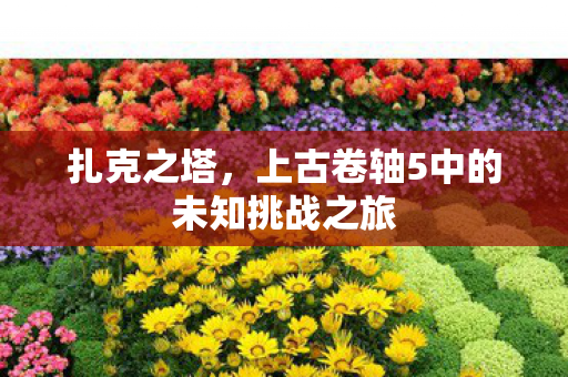 上古卷轴5中的未知挑战之旅图片