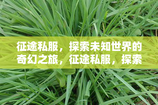 探索未知世界的奇幻之旅图片
