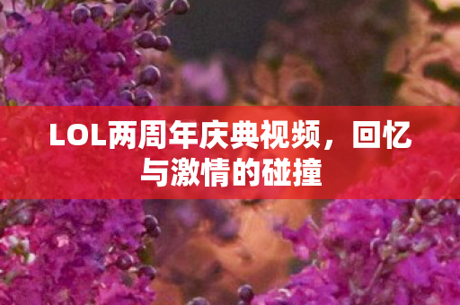 LOL两周年庆典视频图片