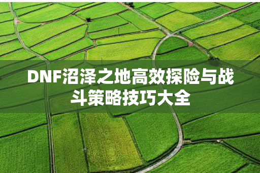 DNF沼泽之地高效探险与战斗策略技巧大全图片
