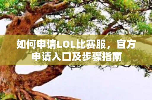 官方申请入口及步骤指南图片