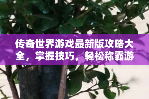 传奇世界游戏最新版攻略大全图片