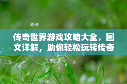 传奇世界游戏攻略大全图片