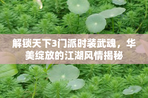 解锁天下3门派时装武魂图片