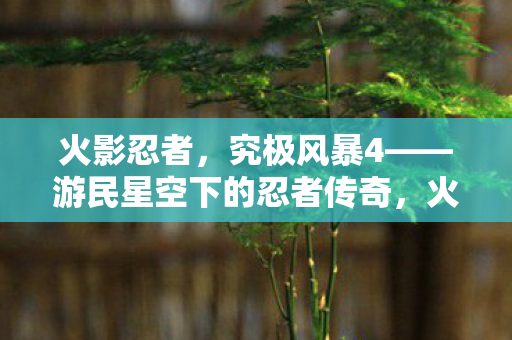 究极风暴4游民星空下的忍者传奇图片