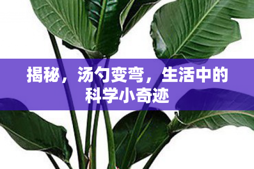 生活中的科学小奇迹图片