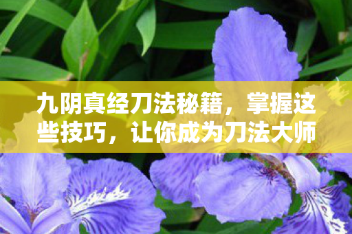 九阴真经刀法秘籍图片
