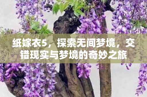 交错现实与梦境的奇妙之旅图片