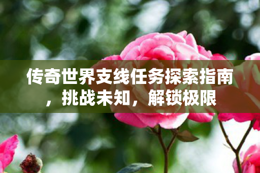 传奇世界支线任务探索指南图片